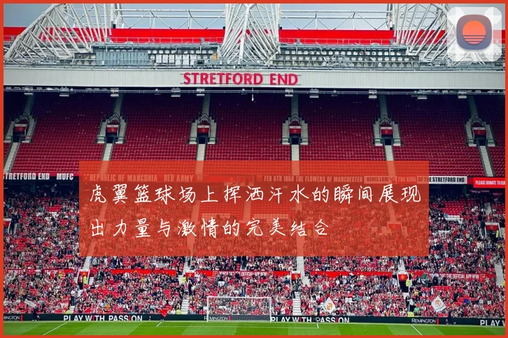 虎翼篮球场上挥洒汗水的瞬间展现出力量与激情的完美结合