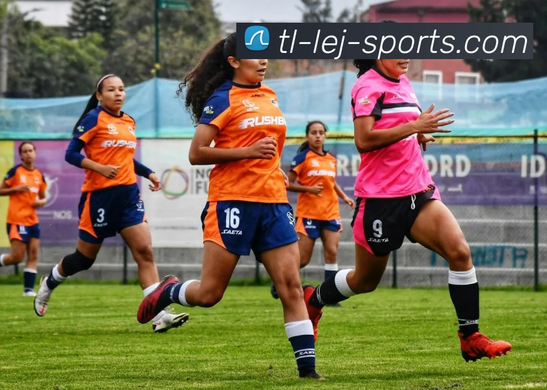 乐竟官网服务体系